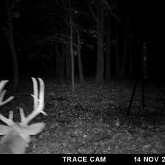 Photo by BR Outfitters