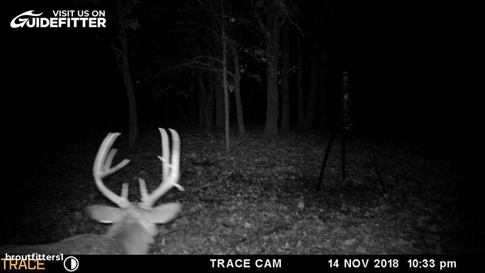 Enlarged photo by BR Outfitters