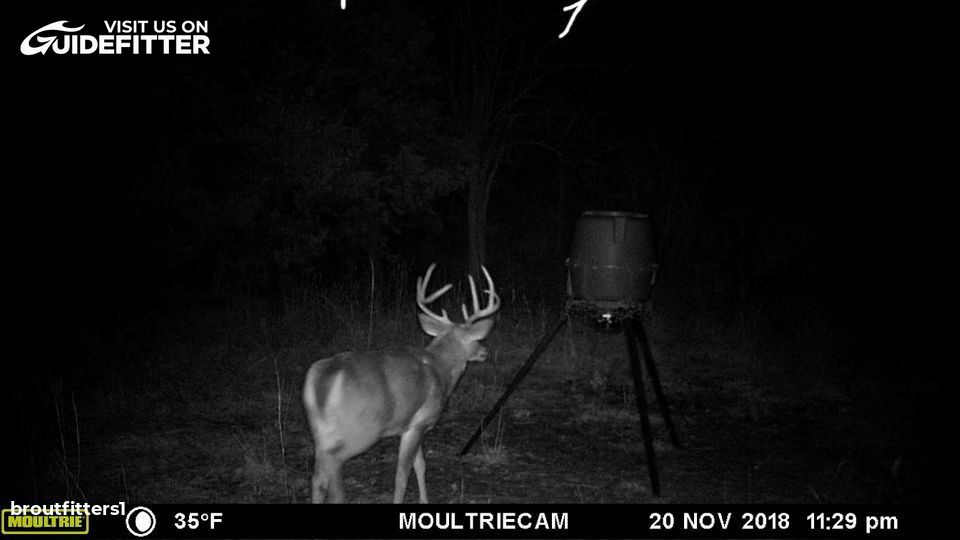 Enlarged photo by BR Outfitters