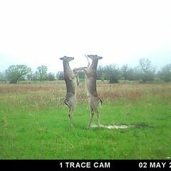 Photo by BR Outfitters