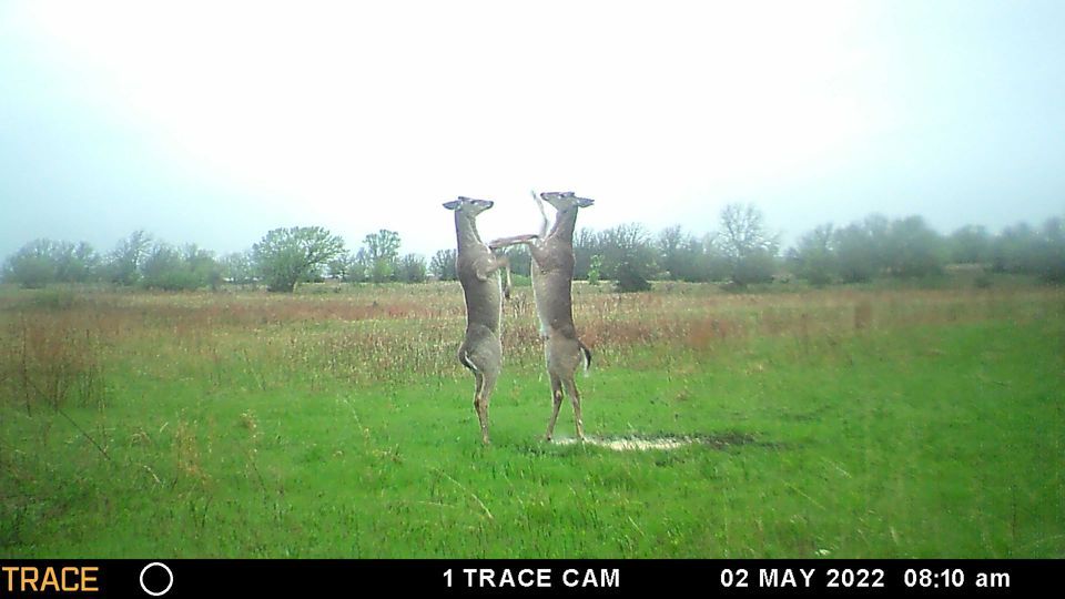 Enlarged photo by BR Outfitters