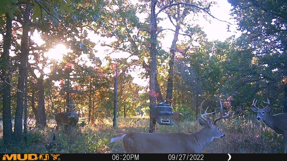 Enlarged photo by BR Outfitters