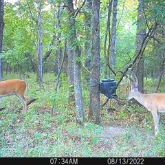 Photo by BR Outfitters