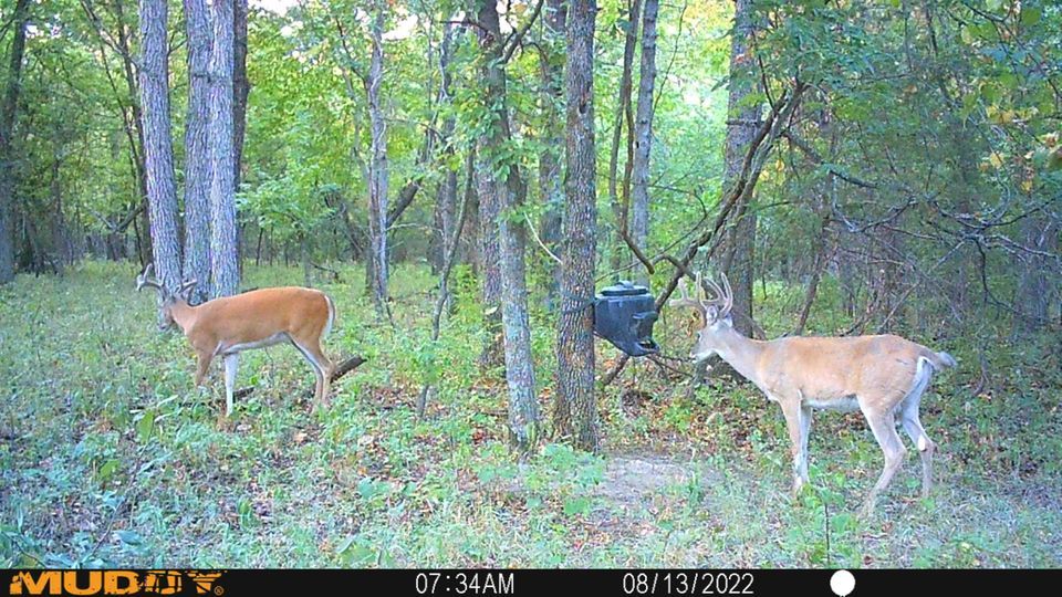 Enlarged photo by BR Outfitters