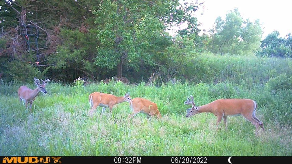 Enlarged photo by BR Outfitters