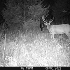 Photo by BR Outfitters