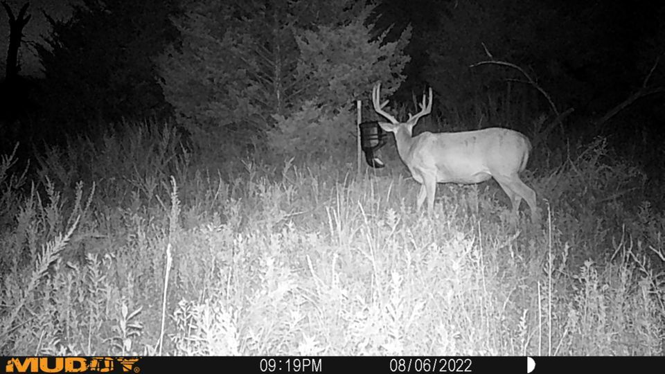 Enlarged photo by BR Outfitters