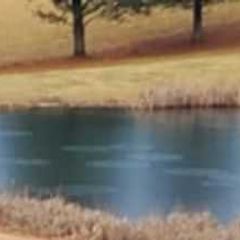 Photo by Dream Mountain Hunting