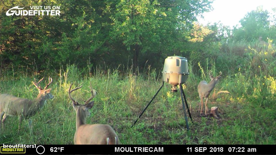 Enlarged photo by BR Outfitters