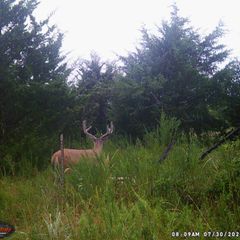 Photo by BR Outfitters