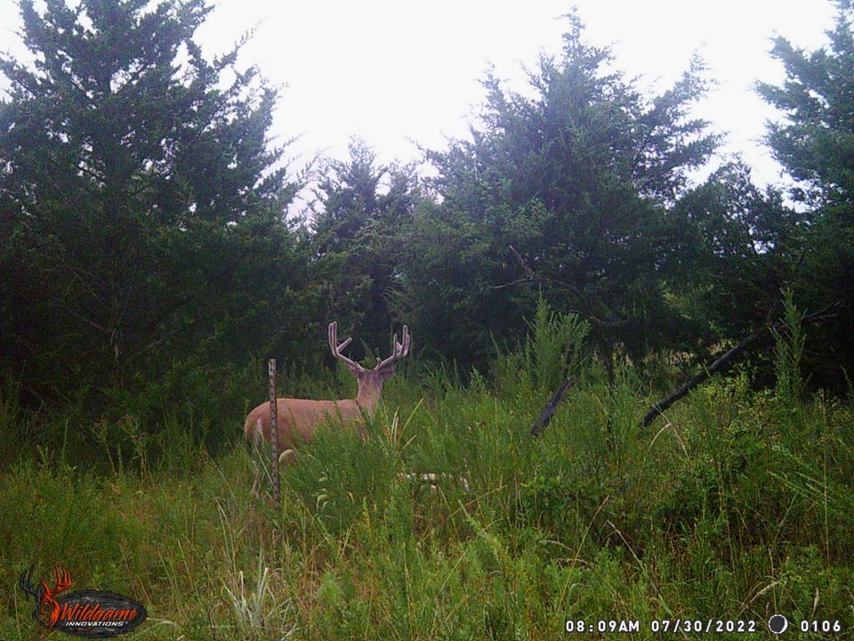 Enlarged photo by BR Outfitters