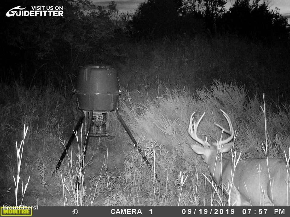 Enlarged photo by BR Outfitters