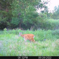 Photo by BR Outfitters