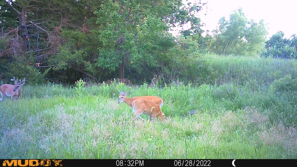 Enlarged photo by BR Outfitters