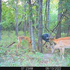 Photo by BR Outfitters