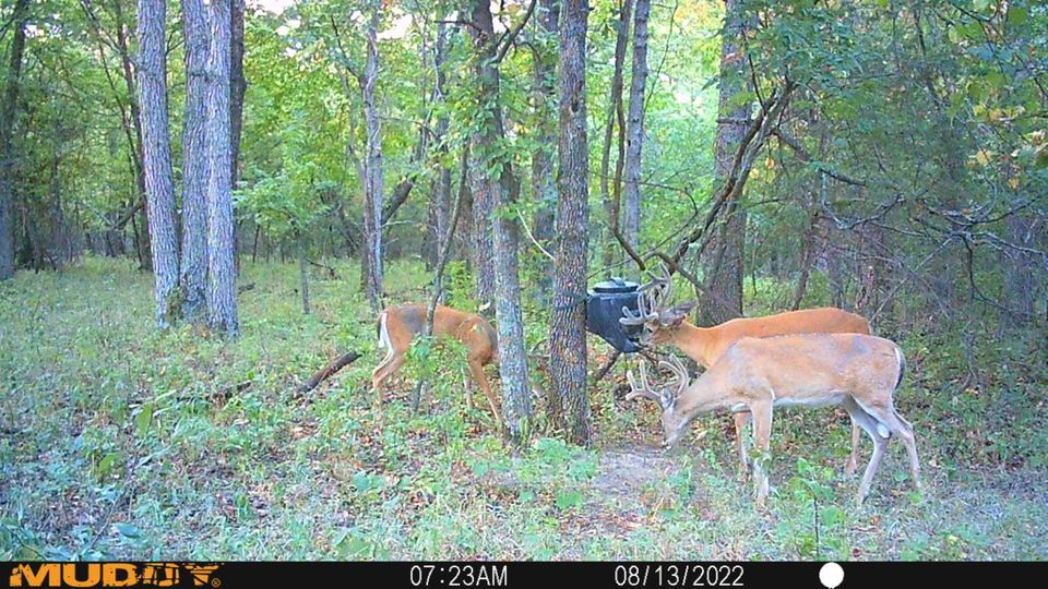 Enlarged photo by BR Outfitters