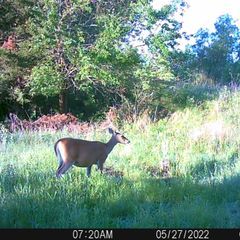 Photo by BR Outfitters