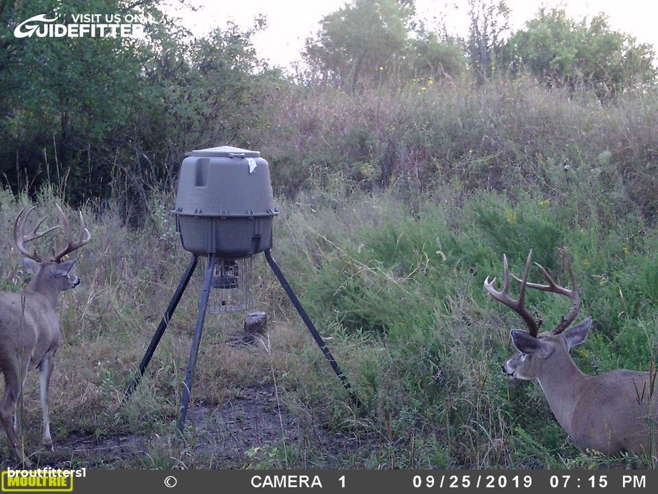 Enlarged photo by BR Outfitters