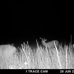 Photo by BR Outfitters