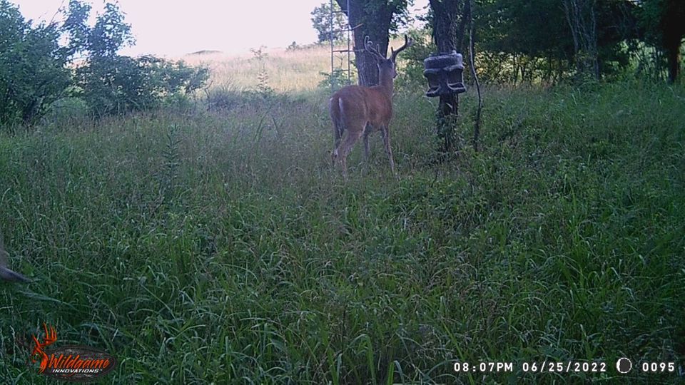 Enlarged photo by BR Outfitters