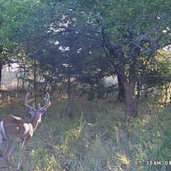 Photo by BR Outfitters