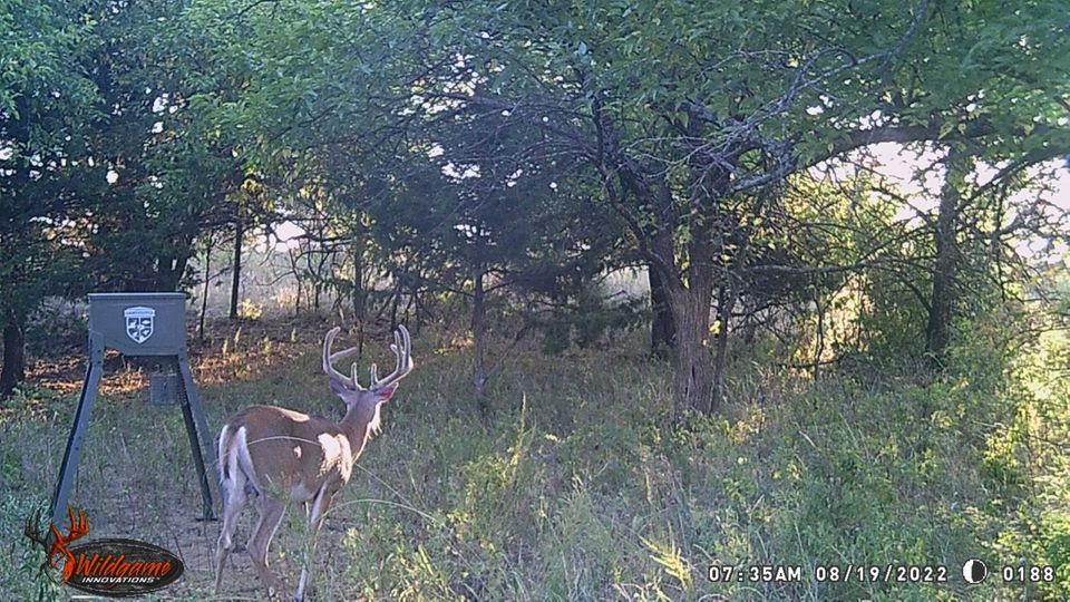 Enlarged photo by BR Outfitters