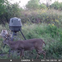 Photo by BR Outfitters