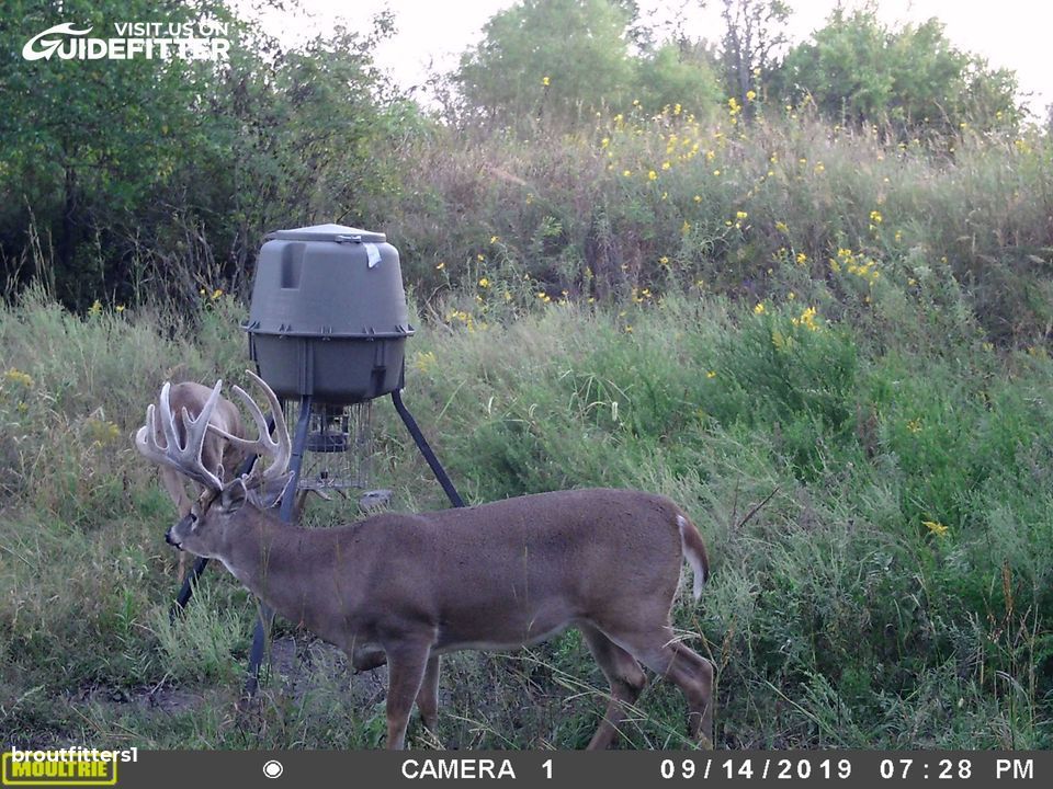 Enlarged photo by BR Outfitters