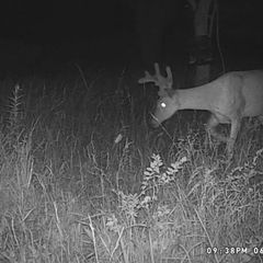 Photo by BR Outfitters