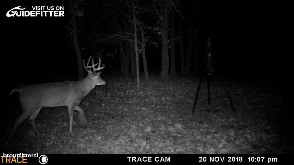 Enlarged photo by BR Outfitters