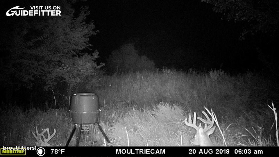 Enlarged photo by BR Outfitters