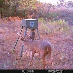 Only two days left to apply for Kansas deer tags. The application process ends on April 29.