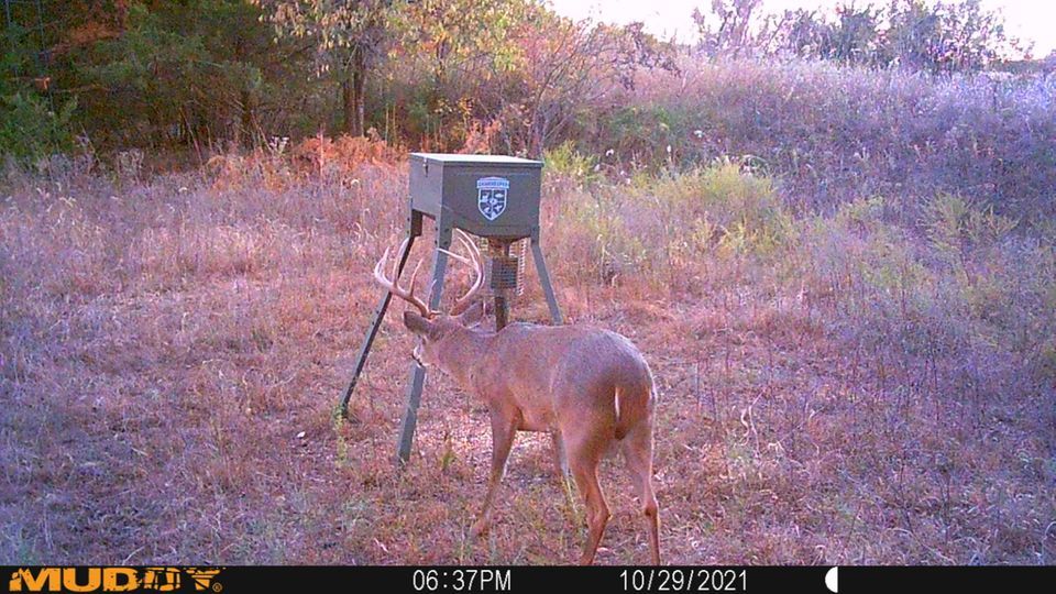 Only two days left to apply for Kansas deer tags. The application process ends on April 29.