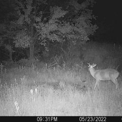 Photo by BR Outfitters