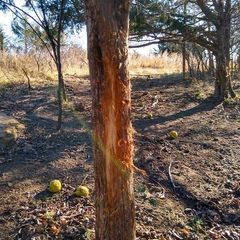 Photo by BR Outfitters