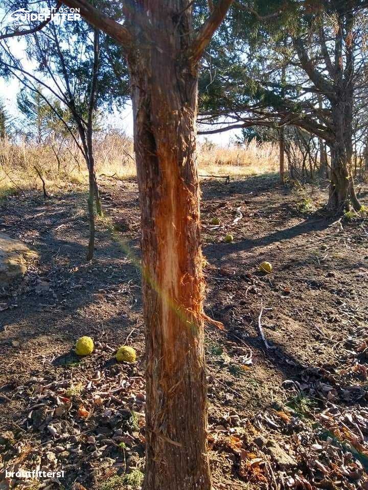 Enlarged photo by BR Outfitters