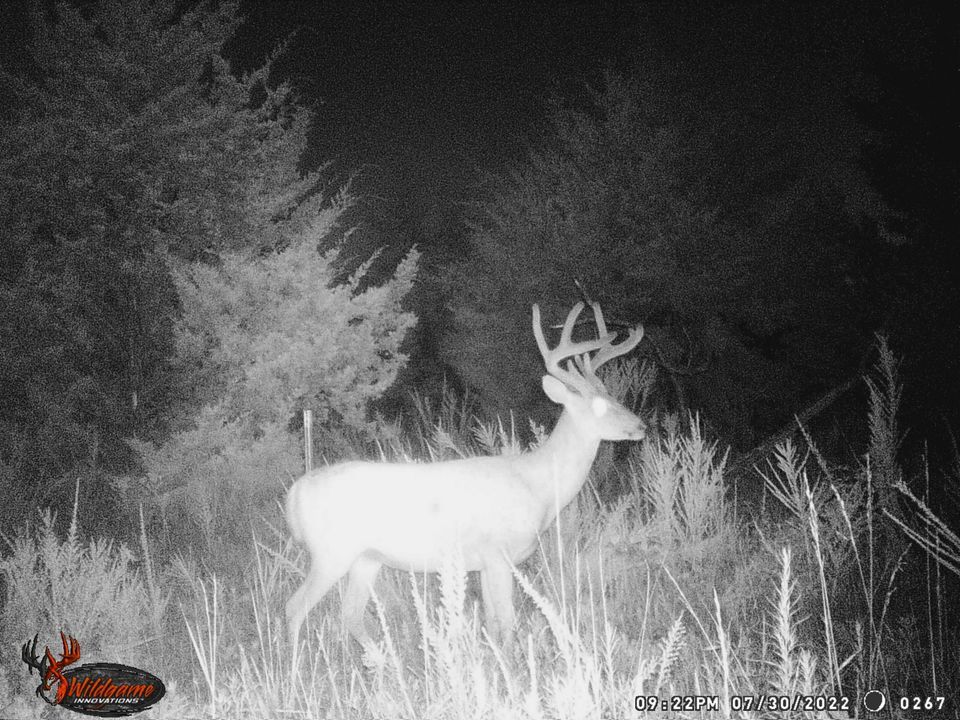 Enlarged photo by BR Outfitters