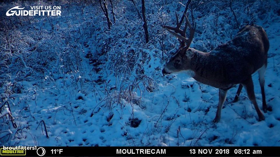 Enlarged photo by BR Outfitters