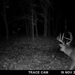 Photo by BR Outfitters