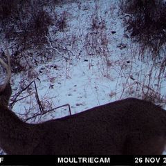 Photo by BR Outfitters