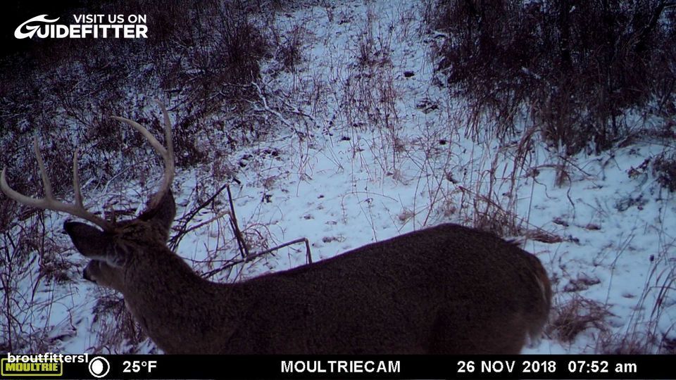 Enlarged photo by BR Outfitters