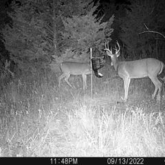 Photo by BR Outfitters