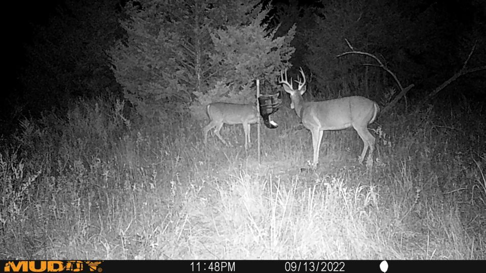 Enlarged photo by BR Outfitters