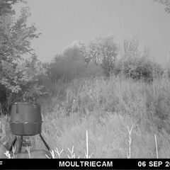 Photo by BR Outfitters