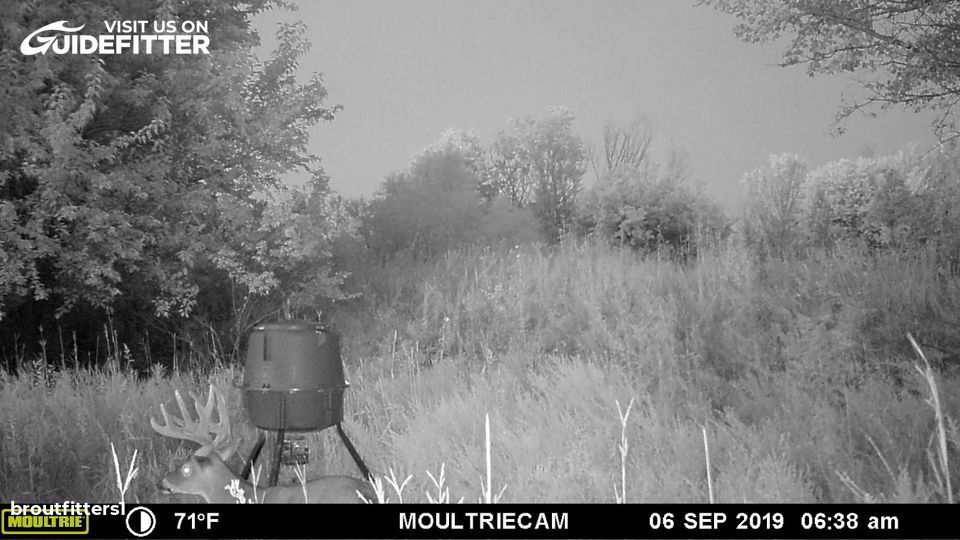 Enlarged photo by BR Outfitters