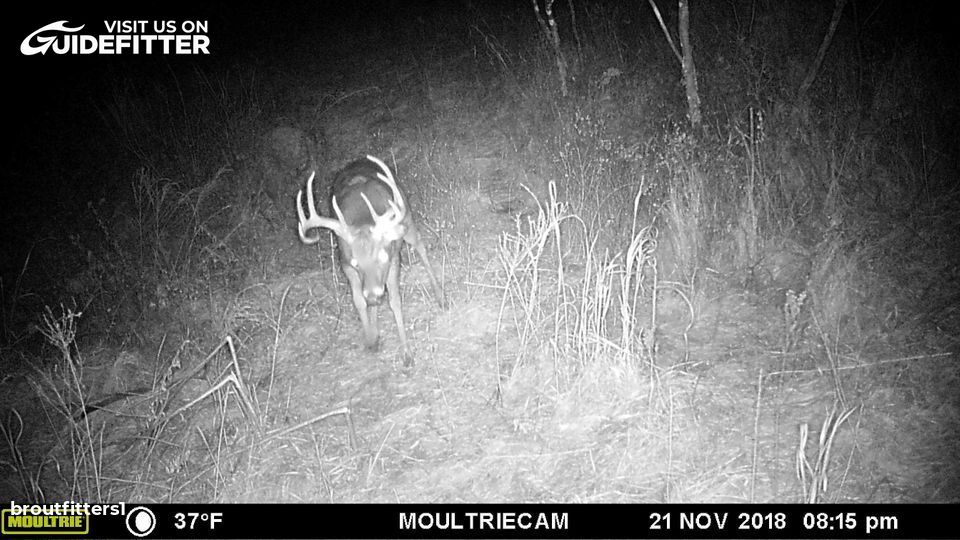 Enlarged photo by BR Outfitters