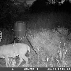 Photo by BR Outfitters