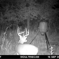 Photo by BR Outfitters