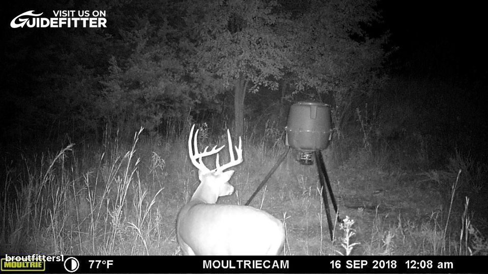 Enlarged photo by BR Outfitters