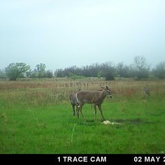 Photo by BR Outfitters